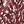 Pink Paint Texture