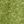Rapid Green