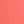 Sunset Coral