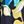 Navy Bold Leaves