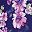 Navy Purple Floral