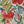 Breeze Floral