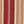 Roma Stripe