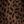 Black Brown Cheetah