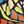 Orange Multi