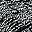 Black Metallic