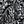 Black White Floral