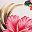 Hawaiian Floral