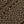 Dark Olive