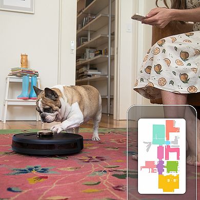 bObsweep Pet Hair SLAM Wi-Fi Connected Robotic Vacuum Cleaner