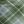 Olive Plaid