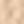 New Beige