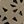 Dark Olive