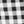 Black Gingham