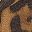 Brown Leopard