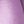 Taro Purple