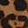 Brown Leopard