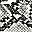 Black White Snake