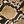 Brown Snake