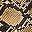 Brown Snake
