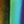 Colorful