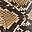 Brown Snake