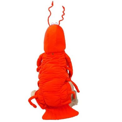 Casual Canine Lobster Paws Dog Costume