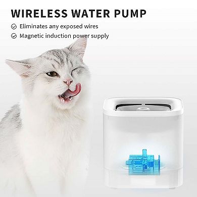 PETKIT Eversweet Solo Pet Water Fountain
