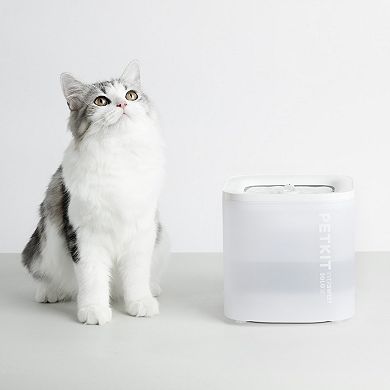 PETKIT Eversweet Solo Pet Water Fountain