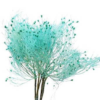 Decorative Dried Ming Fern Stems for Elegant Home Decoration and Creative Floral Arrangements