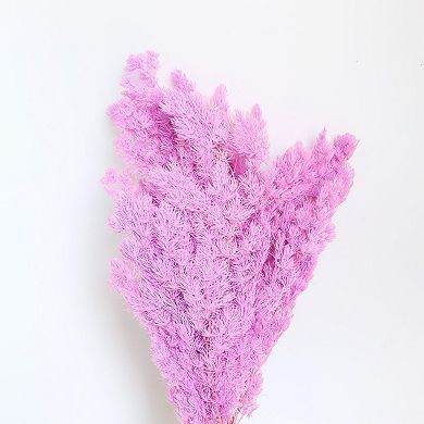 Decorative Dried Fine Leaf Stems for Home Decoration and Floral Arrangements