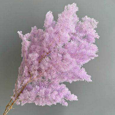 Decorative Dried Fine Leaf Stems for Home Decoration and Floral Arrangements
