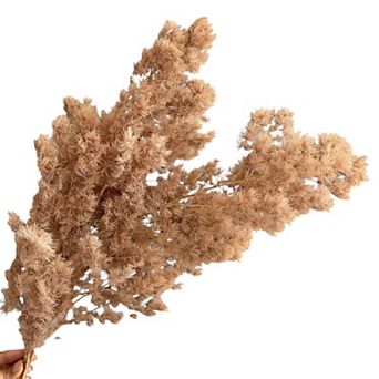 Decorative Dried Fine Leaf Stems for Home Decoration and Floral Arrangements