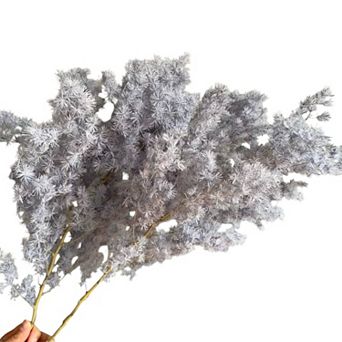 Decorative Dried Fine Leaf Stems for Home Decoration and Floral Arrangements