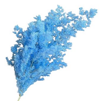 Decorative Dried Fine Leaf Stems for Home Decoration and Floral Arrangements