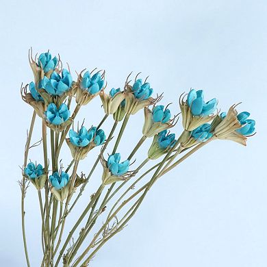 Decorative Dried Flower Stems for Home Decoration and Floral Arrangements