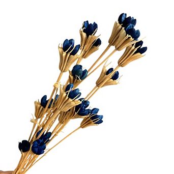 Decorative Dried Flower Stems for Home Decoration and Floral Arrangements