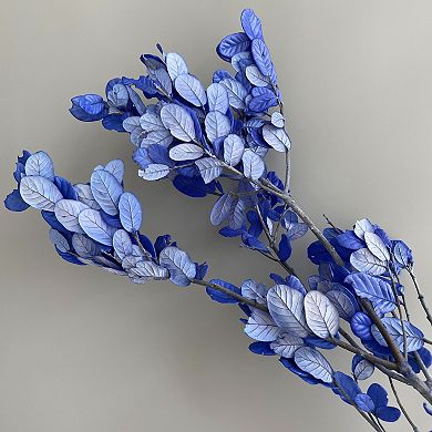 Decorative Dried Leafy Branches for Modern Home Decoration and Floral Arrangements