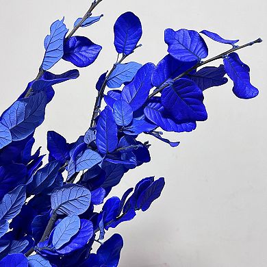 Decorative Dried Leafy Branches for Modern Home Decoration and Floral Arrangements