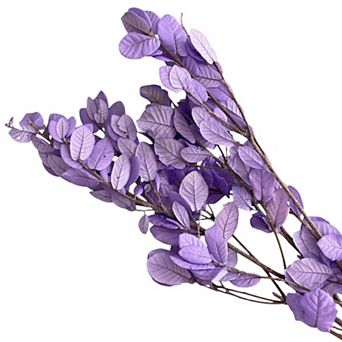 Decorative Dried Leafy Branches for Modern Home Decoration and Floral Arrangements