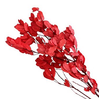 Decorative Dried Leafy Branches for Modern Home Decoration and Floral Arrangements