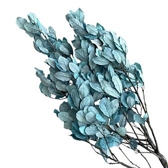 Decorative Dried Leafy Branches for Modern Home Decoration and Floral Arrangements
