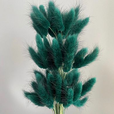 Dried Bunny Tail Grass Stems for Modern Home Decoration and Floral Arrangements