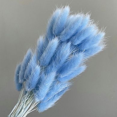 Dried Bunny Tail Grass Stems for Modern Home Decoration and Floral Arrangements