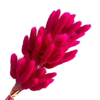 Dried Bunny Tail Grass Stems for Modern Home Decoration and Floral Arrangements