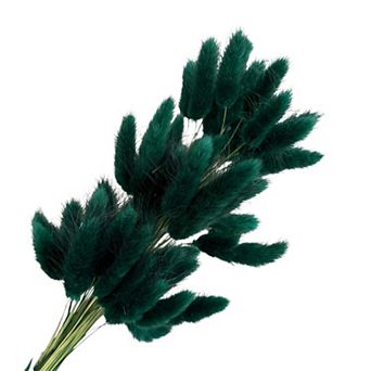 Dried Bunny Tail Grass Stems for Modern Home Decoration and Floral Arrangements