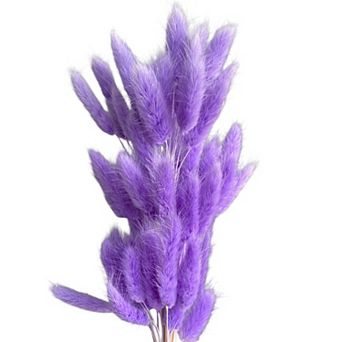 Dried Bunny Tail Grass Stems for Modern Home Decoration and Floral Arrangements