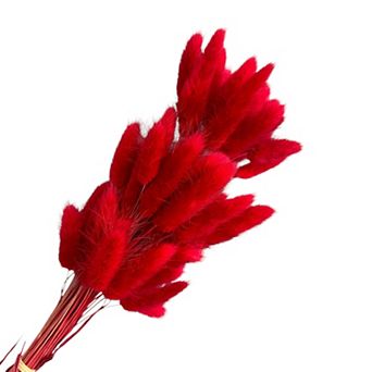 Dried Bunny Tail Grass Stems for Modern Home Decoration and Floral Arrangements