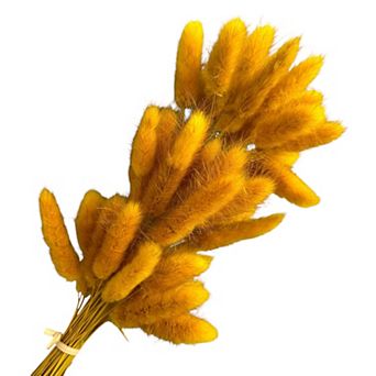 Dried Bunny Tail Grass Stems for Modern Home Decoration and Floral Arrangements