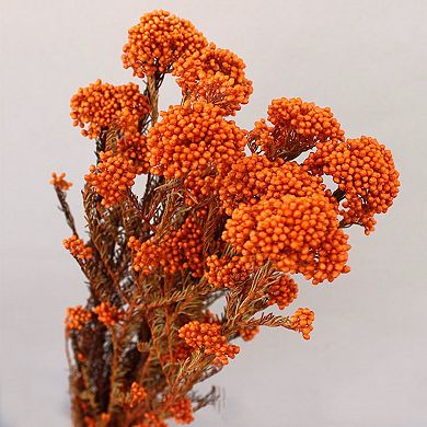 Decorative Dried Berry Stems for Home Decoration and Floral Arrangements